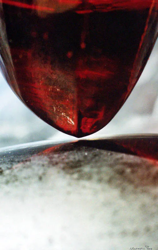 Małgorzata Macharska, Bez tytułu, 2003