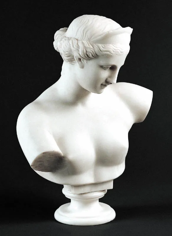 Autor nierozpoznany, WENUS Z MILO, II poł. XIX w.