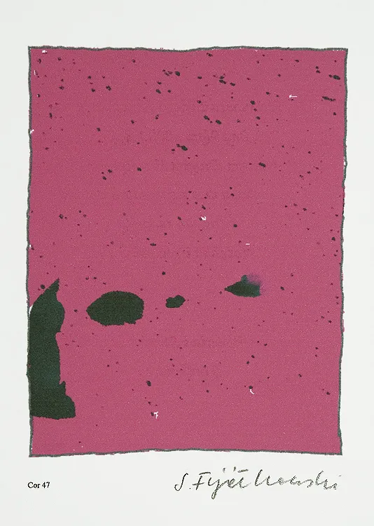 Stanisław Fijałkowski, Cor47 