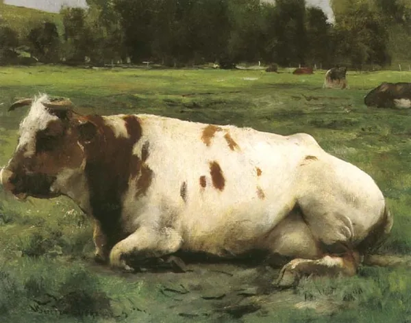 Julien Dupre, Studium krowy