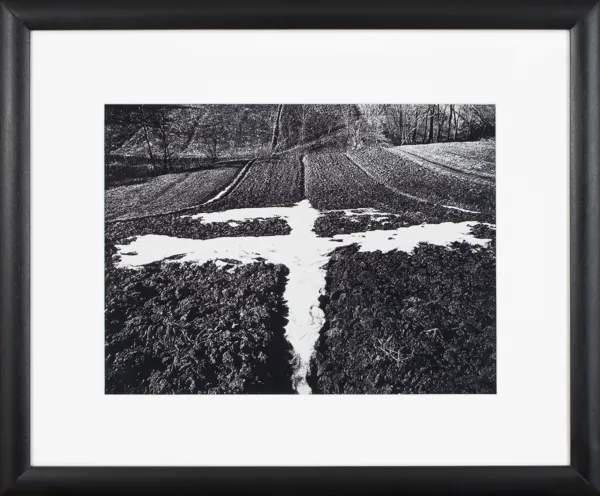 Paweł  Pierściński, Ptak – przedwiośnie, 1974