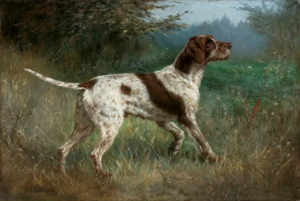 Aleksandr Nikołajewicz Stiepanow, WYŻEŁ, 1908