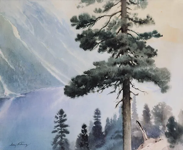 Maciej Nehring, LIMBA NAD MORSKIM OKIEM