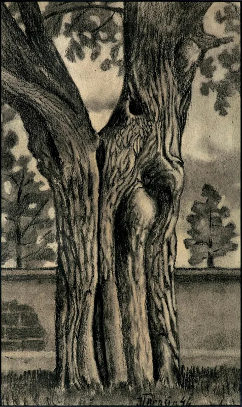 Jan Tarasin, DRZEWO, 1946