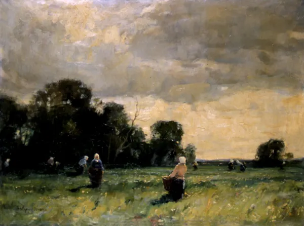 Herman Schmidtmann, Zbieranie ziół