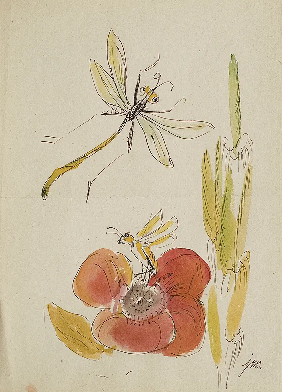 Jan Marcin Szancer, Ilustracja (Ważka i pszczoła)