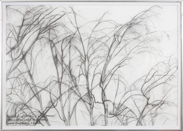 Ryszard Łagodziec, DRZEWA, Z CYKLU DRZEWA, 2015