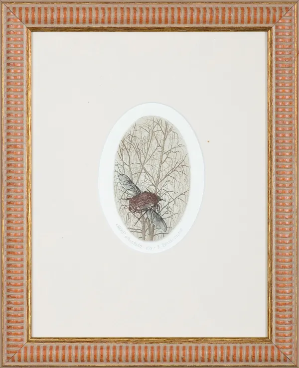 Elżbieta  Bocianowska, Wzlot