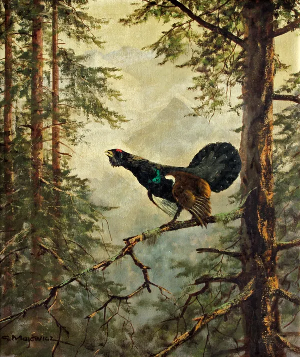 Georg (George) Majewicz, GŁUSZEC