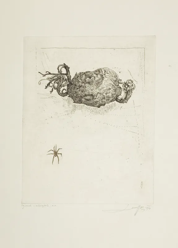 Leszek Rózga, PAJĄCZEK, 1979