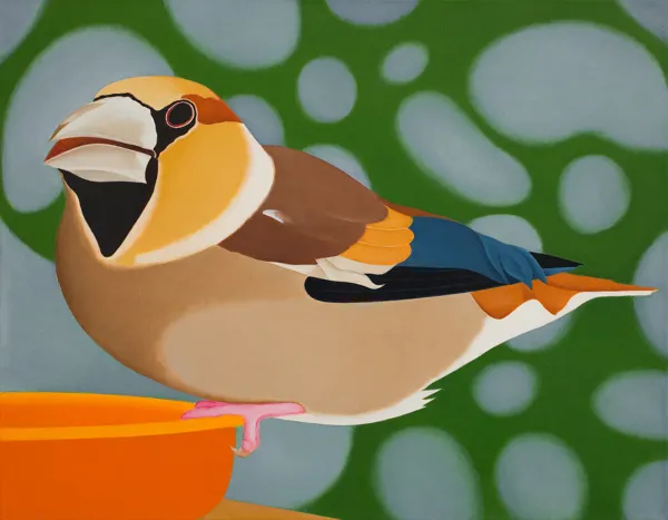 Antoni Janusz Wojnarowski, Grubodziób, 2013