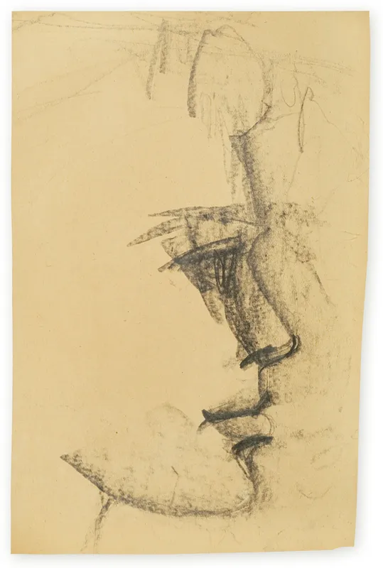 Roman Opałka, Profil 