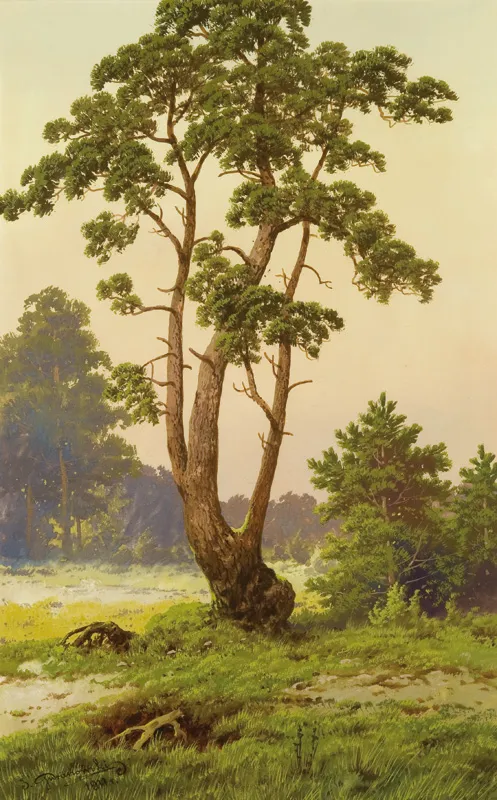 Józef  Guranowski, SAMOTNA SOSNA, 1911