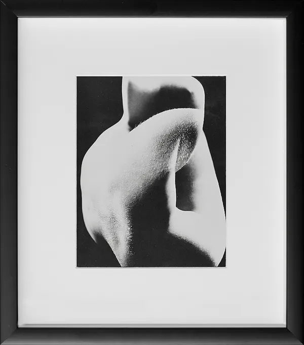 Zbigniew  Łagocki, Akt z cyklu, Poliformia