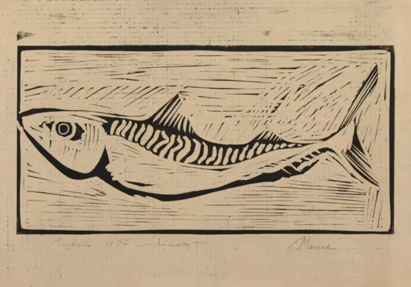 Jerzy Panek, Makrela, 1957