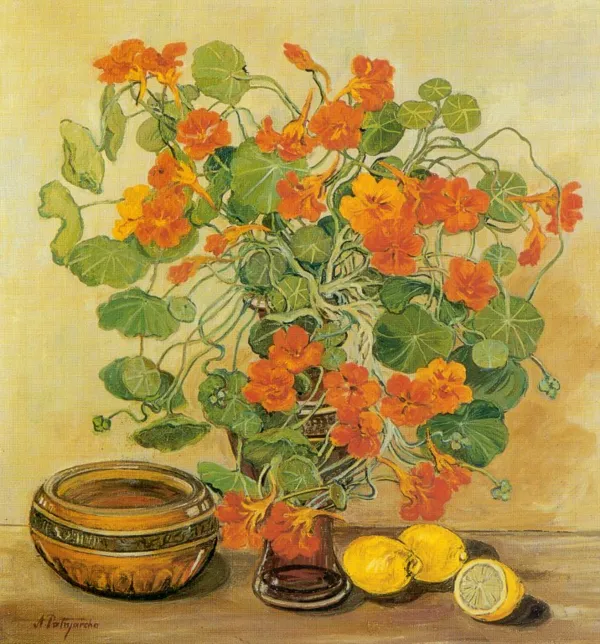 Anna Patryarcha, Martwa natura 