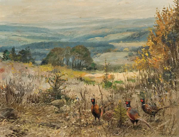 Willy Lorenz, BAŻANTY W POLU