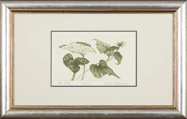 Maria Okołów-Podhorska, ROŚLINY, 1985