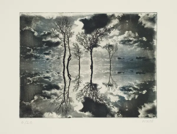 Anna  Mikke, Pejzaż, 2012