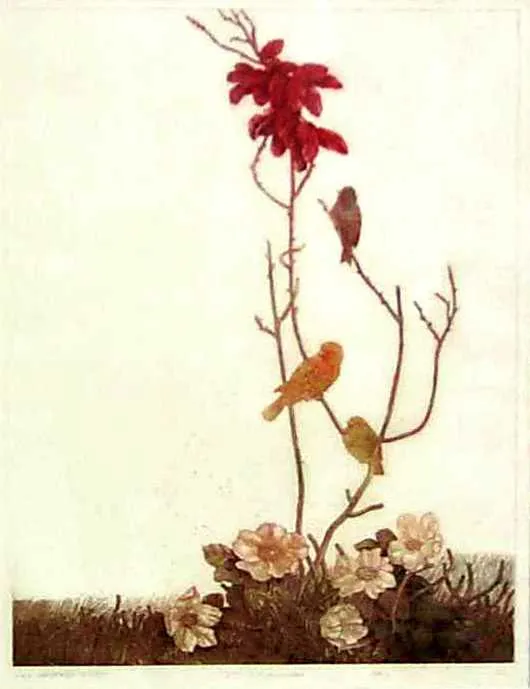 NN NN, Dla wszystkich dzieci, 1969