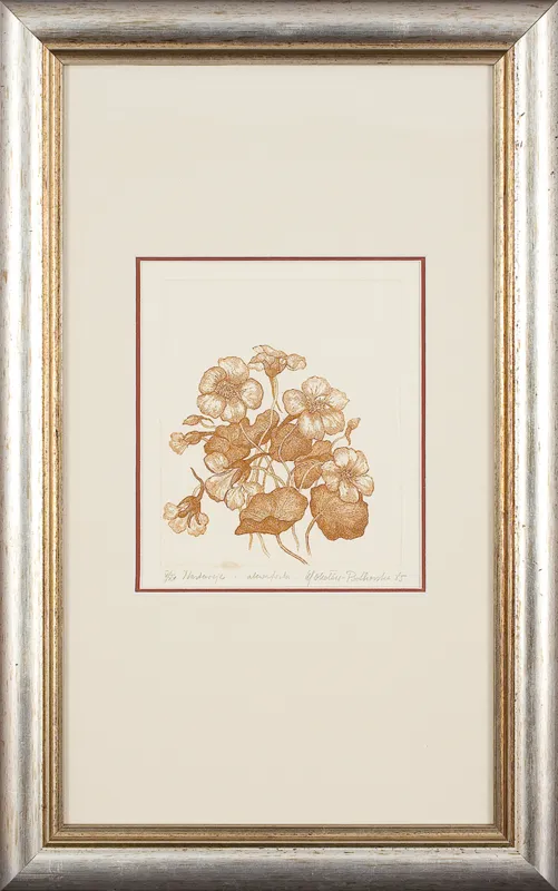 Maria Okołów-Podhorska, Nasturcje, 1985