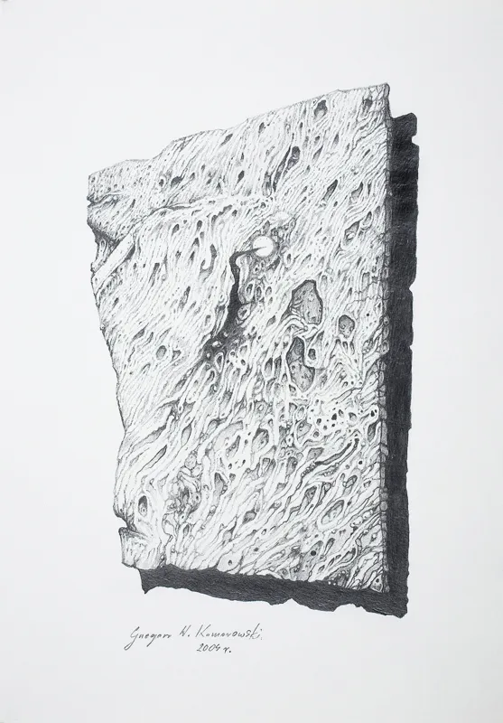 Grzegorz W.  Komorowski, BEZ TYTUŁU, 2004 