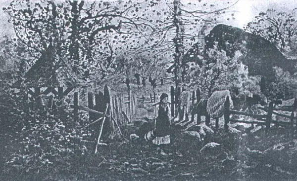 Michał Pociecha, Z życia wsi polskiej