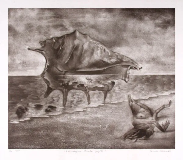 Janusz Karwacki, Fatamorgana strombus nugilis, 1977