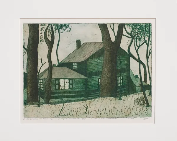 Andrzej Tadeusz  Kotkowski, Domki świderskie koło Warszawy, 1998