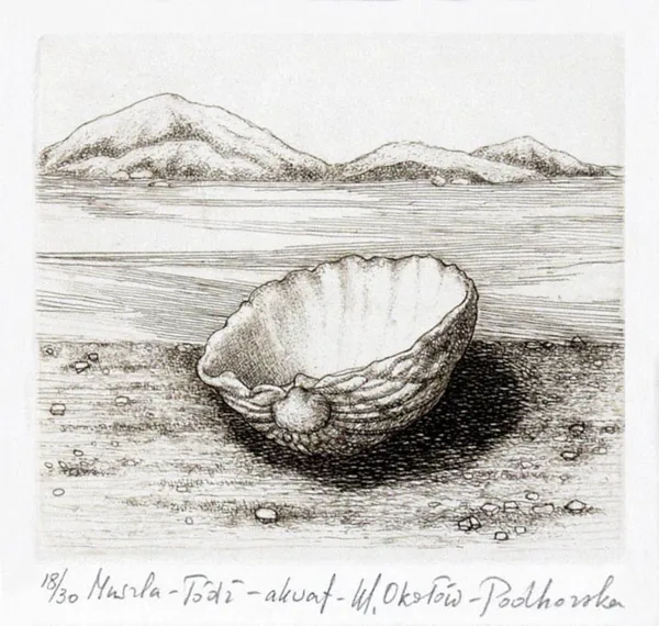 Maria Okołów-Podhorska, Muszla – Łódź