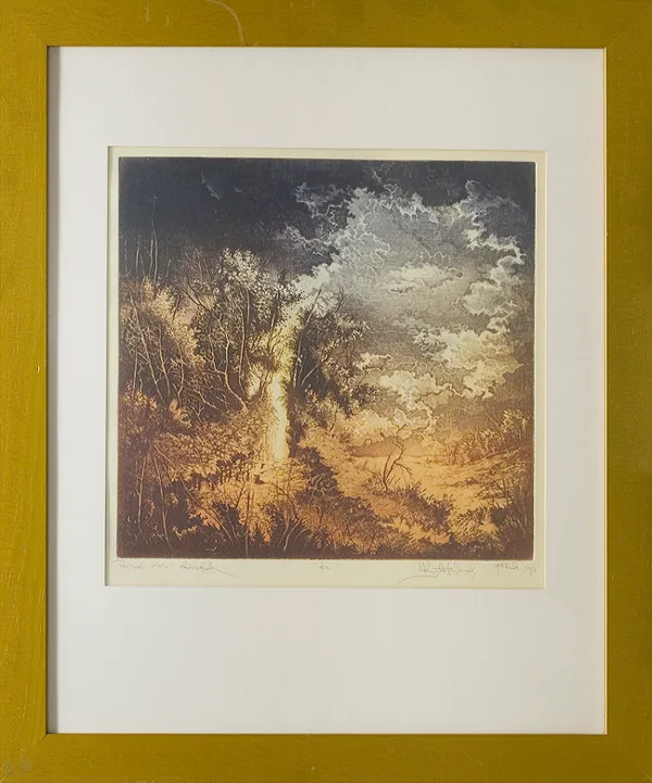 Krzysztof  Wieczorek, Pejzaż XXV, 1998