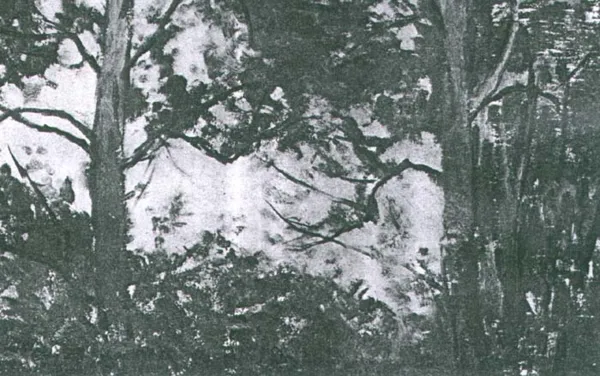 Stefan Filipkiewicz, Las wiosną