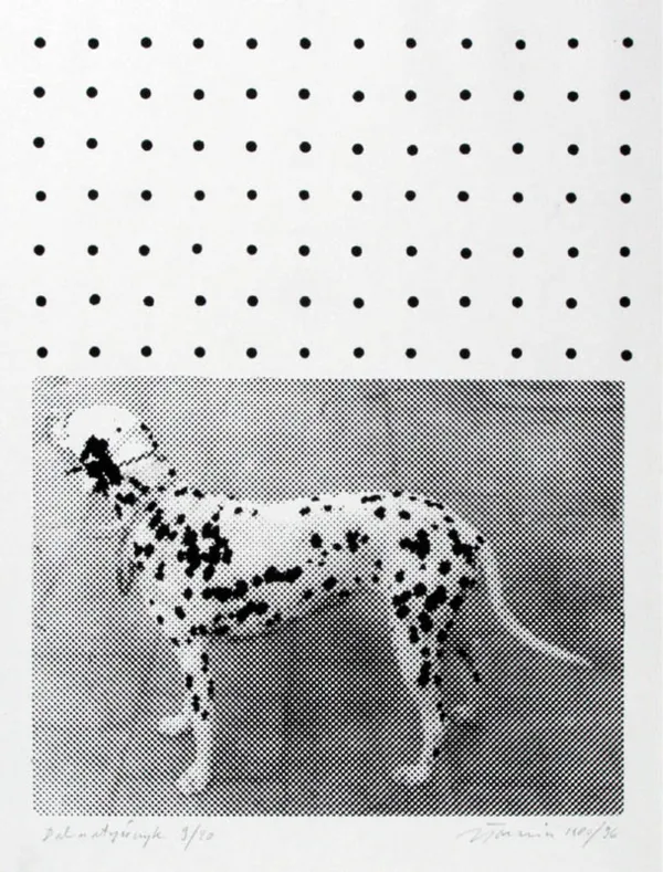 Jan Tarasin, Dalmatyńczyk, 1980-1996