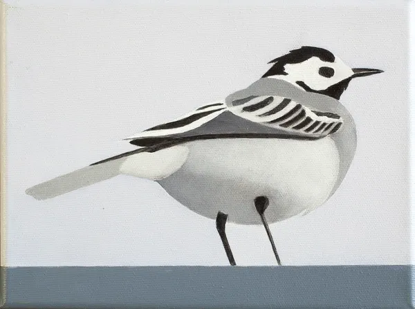 Antoni Janusz Wojnarowski, Pliszka, 2015