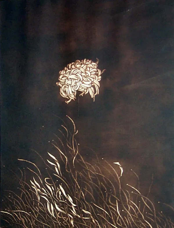 NN NN, Kwiat, 1965
