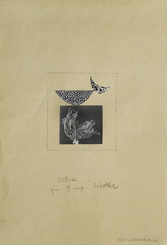 Alfons Mazurkiewicz, Ilustracja do miesięcznika Odra