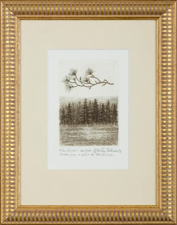 Maria Okołów-Podhorska, WZLOT (ENVOL), 1993