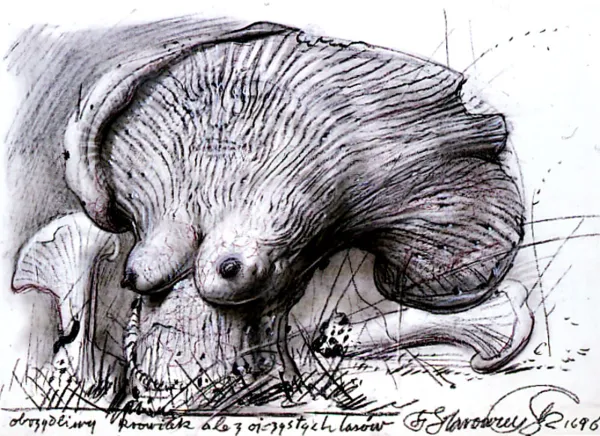 Franciszek Starowieyski, OBRZYDLIWY KROWIAK..., 1996