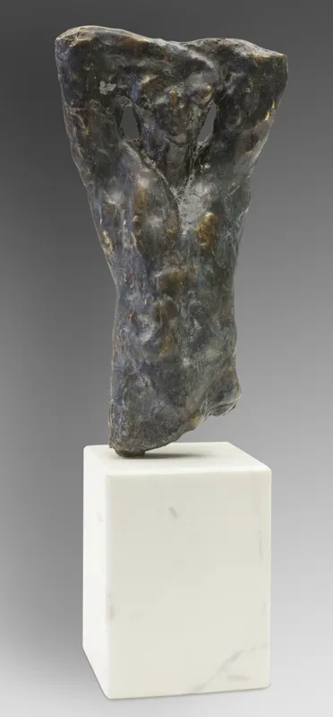 Waldemar Mazurek, TORS MĘSKI, 2013