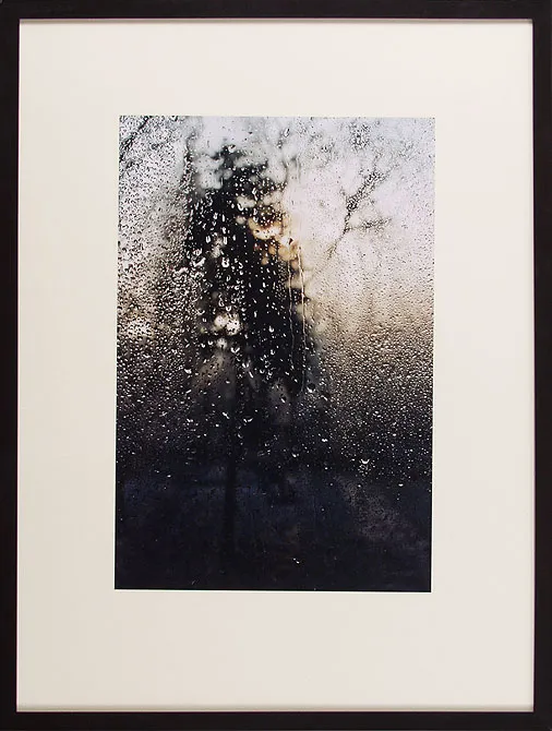 Małgorzata Macharska, Drzewo, 2004