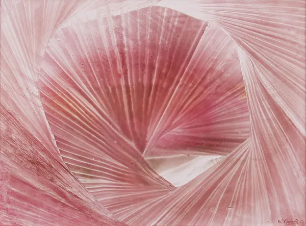 Lucyna Kuśnierczyk, Oko cyklonu, z cyklu „Kosmos”, 2005