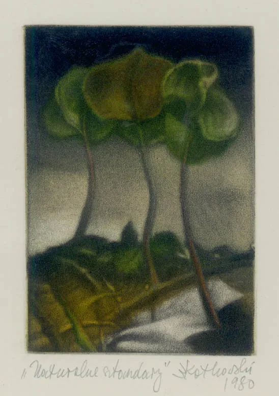 Włodzimierz Kotkowski, Naturalne sztandary, 1980