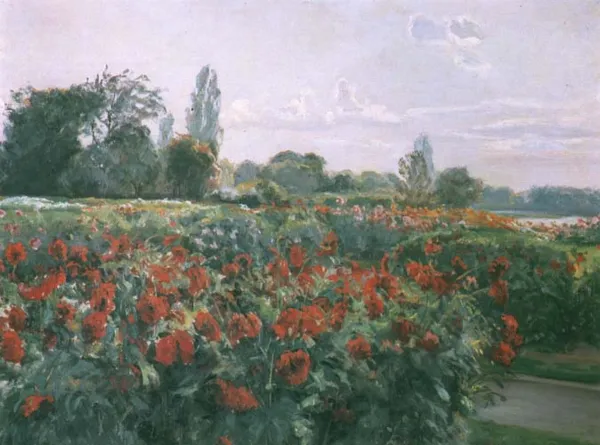 Kazimierz Lasocki, Pole kwiatów