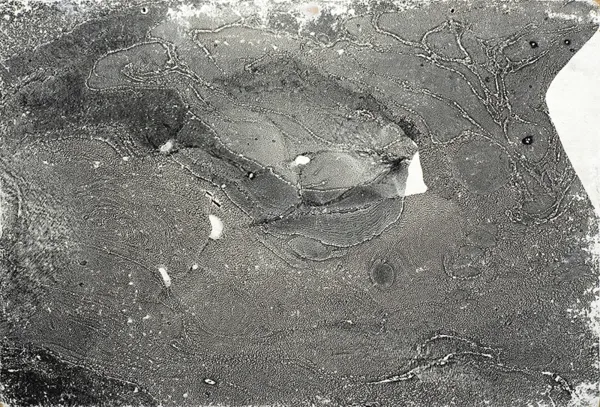 Jan Ziemski, Kompozycja, lata 50.