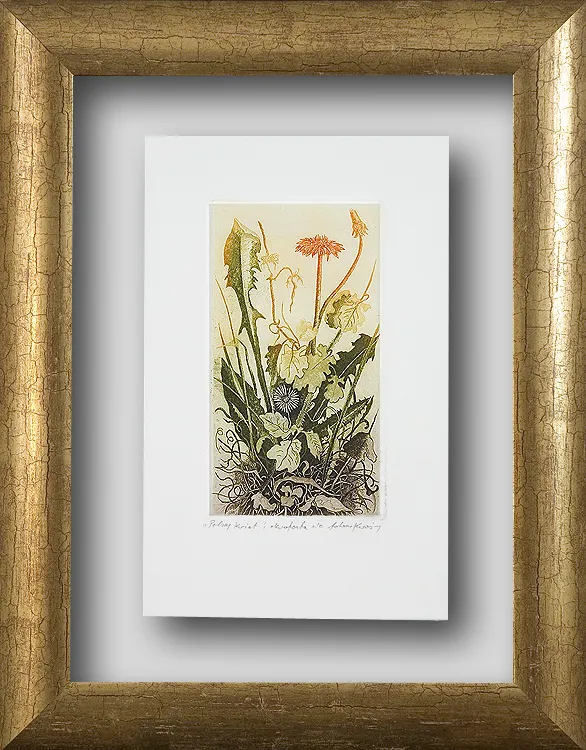 Adam  Kwaśny, Polny kwiat