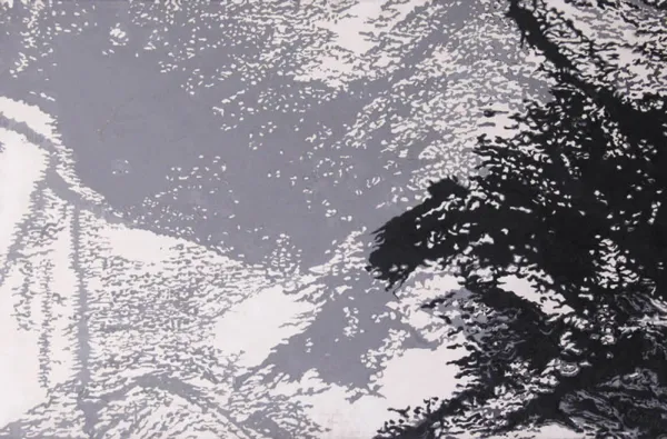 Andrzej Fogtt, Z cyklu Żywioły Ziemia, 1979