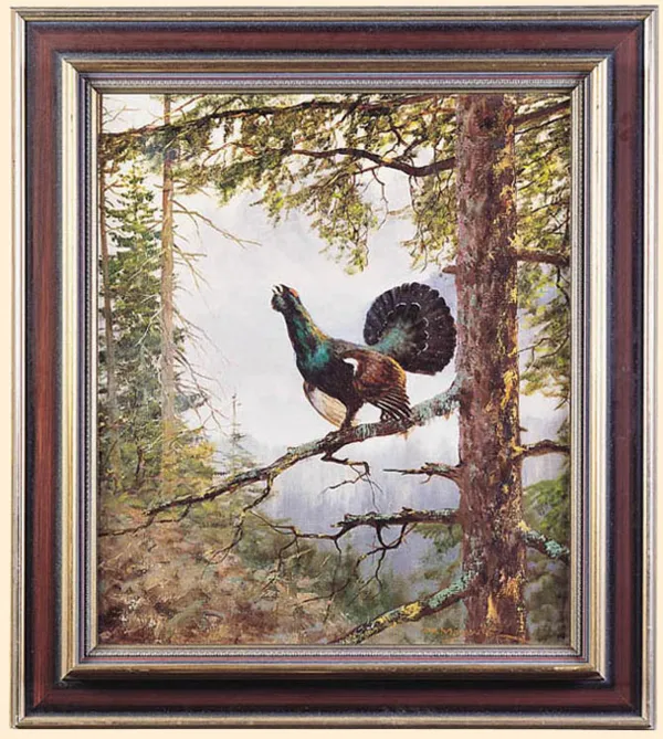 Georg (George) Majewicz, GŁUSZEC TOKUJĄCY