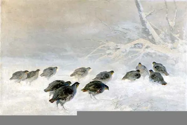 Czesław (I. Zygmuntowicz) Wasilewski, Kuropatwy na śniegu