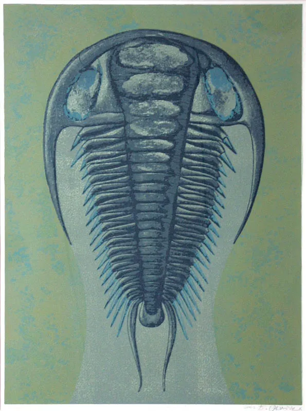 Błażej Ostoja Lniski, Żuk