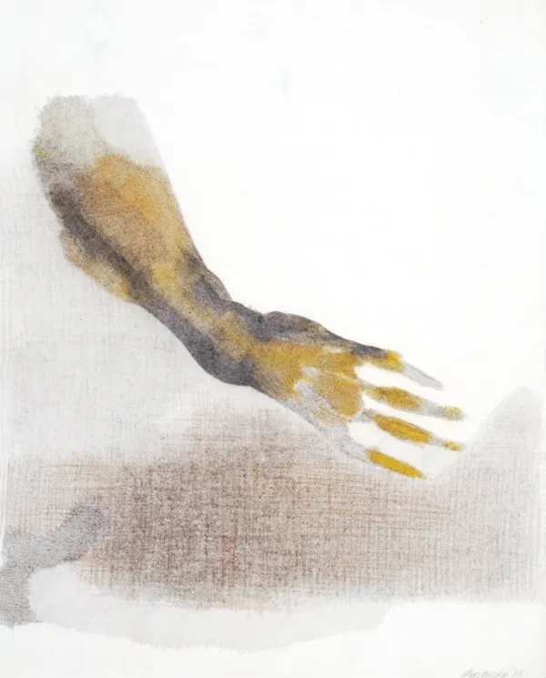 Halina Chrostowska, Z cyklu Ręce, 1975